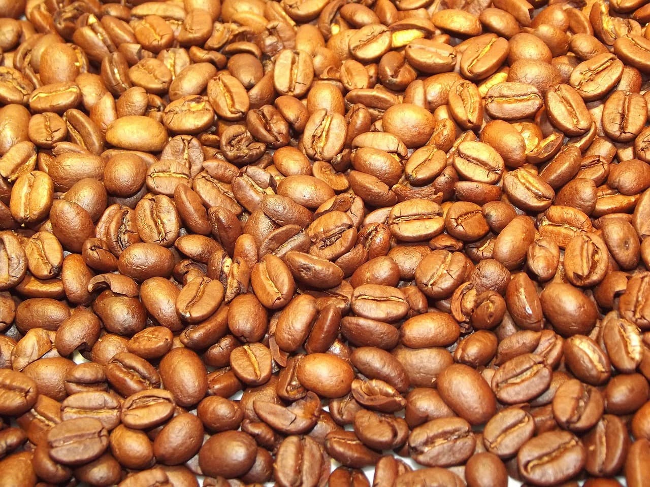 Light Roast Coffee